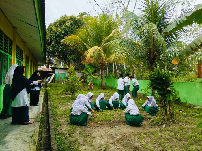 Belajar, Berkarya, dan Bertani: Kreativitas Siswa 9A dan 9B MTsN 4 Batang Hari dalam Program Kokurikuler Belajar, Berkarya, dan Bertani: Kreativitas Siswa 9A dan 9B MTsN 4 Batang Hari dalam Program Kokurikuler