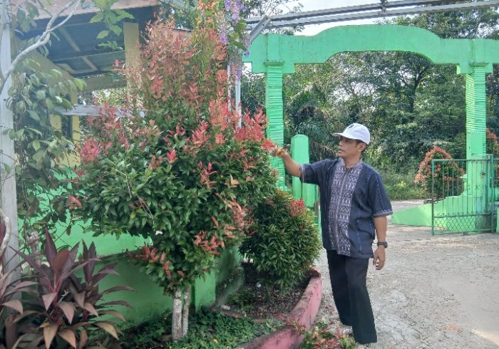 Lingkungan MTsN 4 Batanghari Tampak Asri melalui Pemangkasan Pucuk Merah