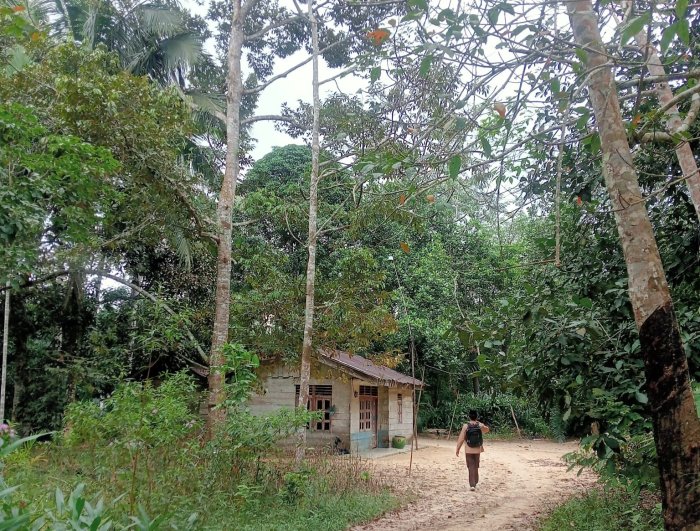 Perjuangan Faiz, Siswa Kelas 7B  Tempuh 1 Jam Jalan Kaki Demi Pendidikan