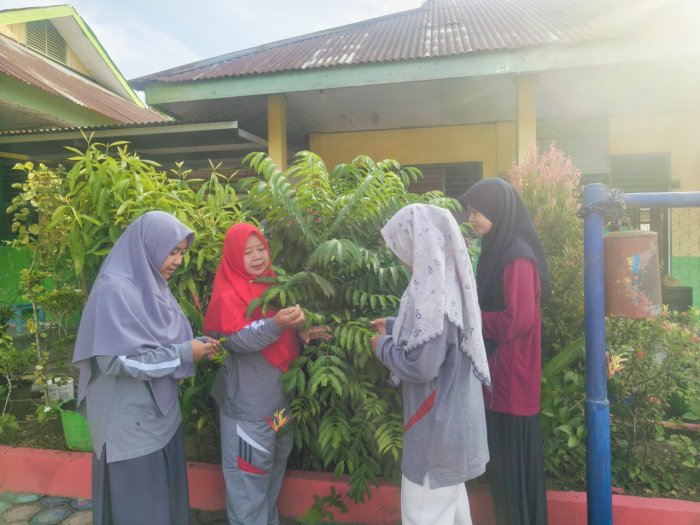 Kebersamaan Guru MTsN 4 Batang Hari Bahas Manfaat Daun Kedondong