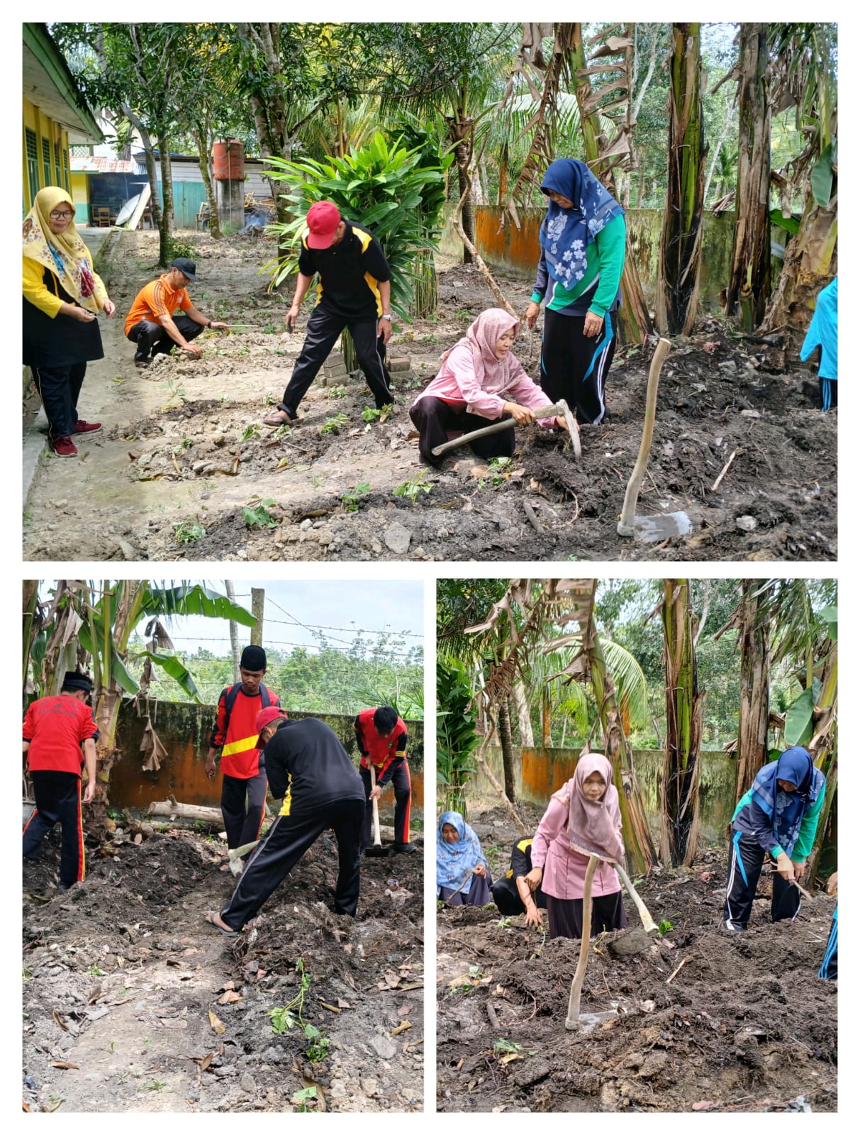 KITA TENGOK LAHAN MADRASAH HARI INI KITA TENGOK LAHAN MADRASAH HARI INI