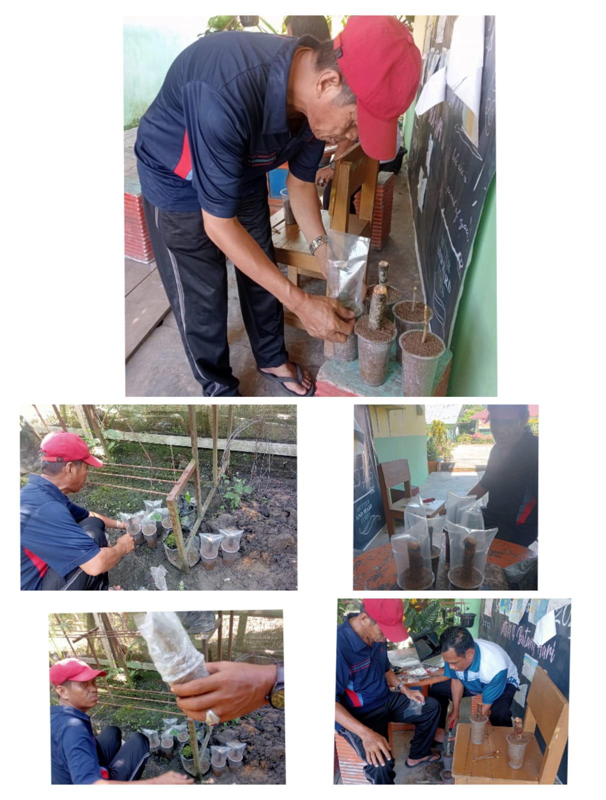 Inovasi MTsN 4 Batanghari: Menumbuhkan Durian di Pasir, Solusi Baru Ekologi