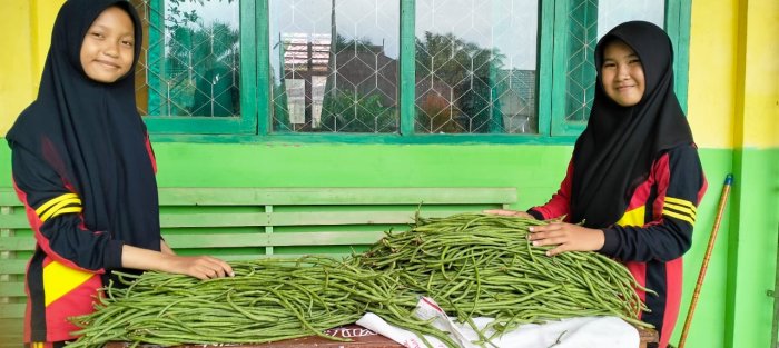 Menjelang Akhir Musim, AP Kitela Masih Banjir Pesanan dari Warga Bajubang