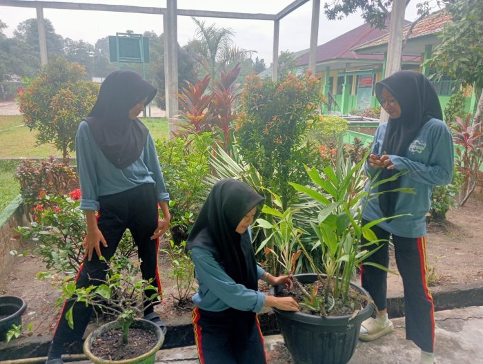 Siswa Kelas 9A Terus Berbenah Hijaukan Taman Depan Kelas