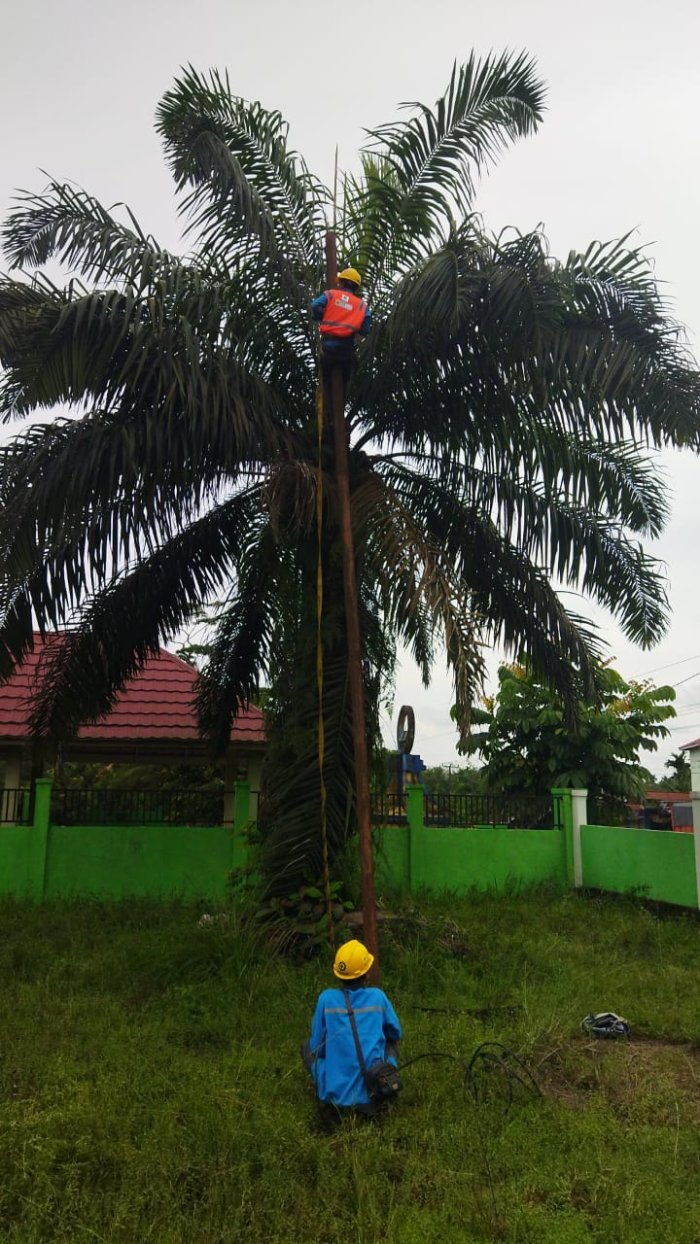 Petugas PLN Sigap Perbaiki Gangguan Listrik di MTsN 4 Batang Hari Akibat Kabel Putus