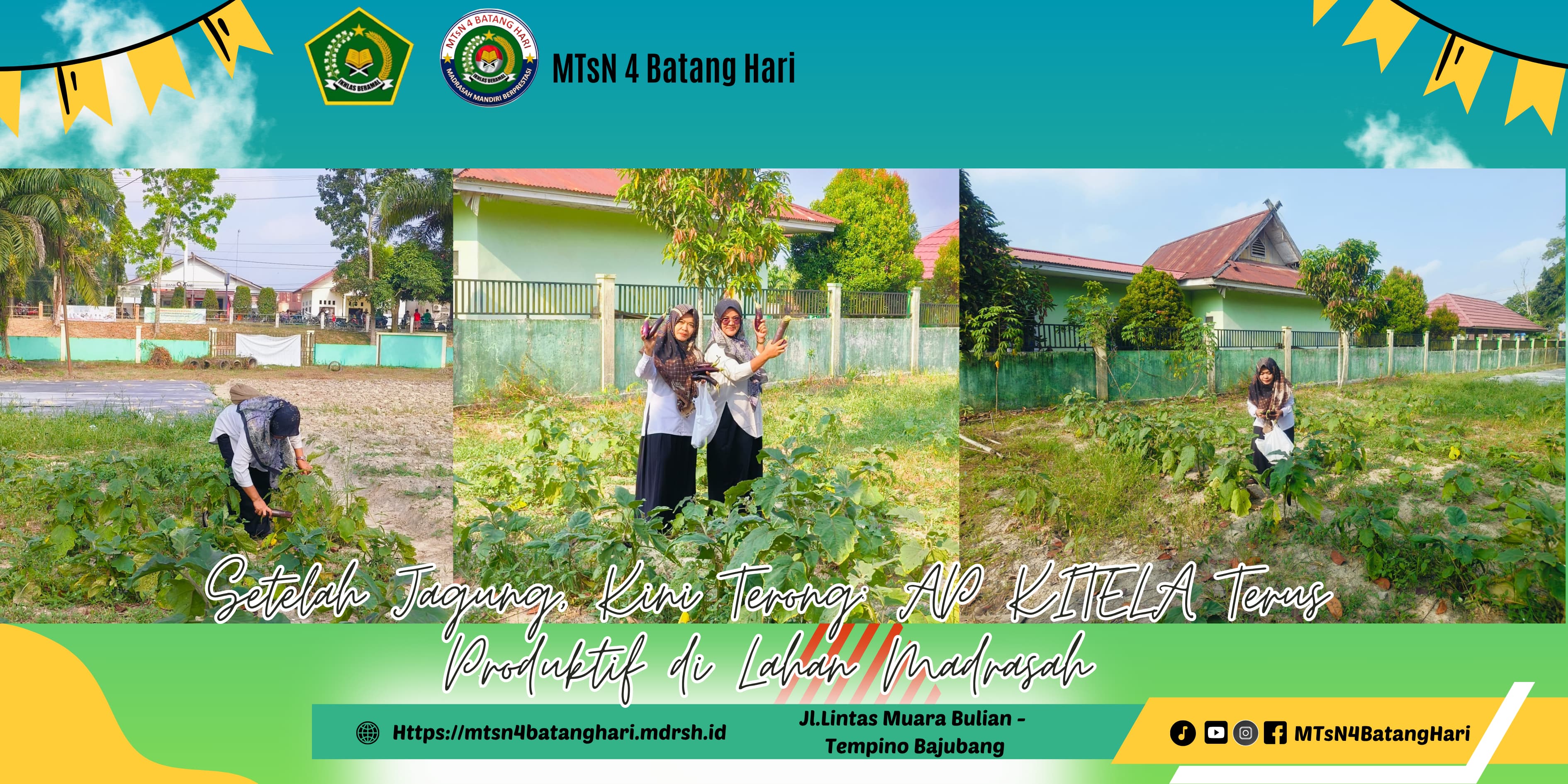 Setelah Jagung, Kini Terong: AP KITELA Terus Produktif di Lahan Madrasah Setelah Jagung, Kini Terong: AP KITELA Terus Produktif di Lahan Madrasah