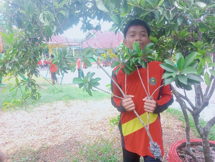 Siswa MTs 4 Batanghari Berhasil Lakukan Pencangkokan Pohon Sawo: Bukti Nyata Praktik.