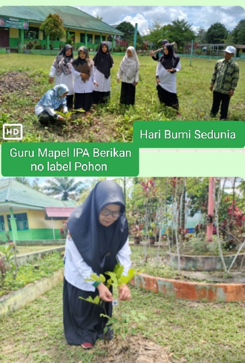 Peduli Lingkungan, Guru IPA Lakukan Pelabelan no Pohon Matoa.