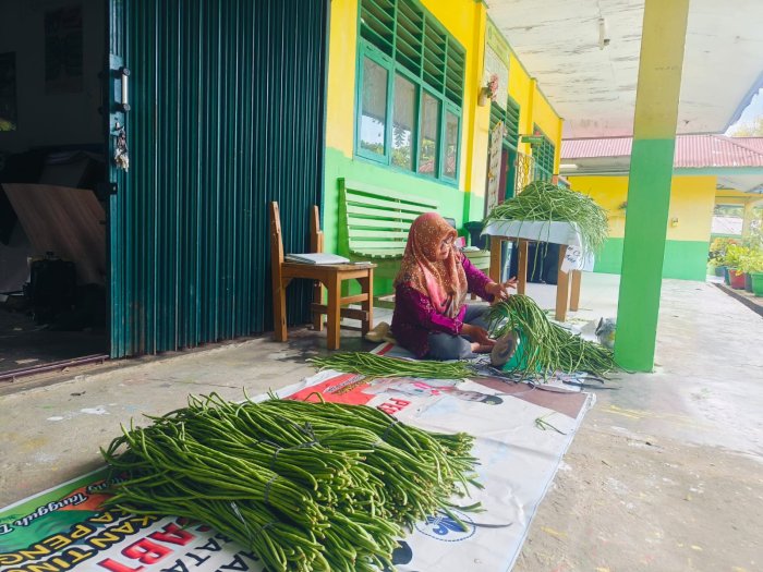 Guru IPA Antusias Timbang Hasil Panen Kacang Panjang dari AP KITELA Guru IPA Antusias Timbang Hasil Panen Kacang Panjang dari AP KITELA