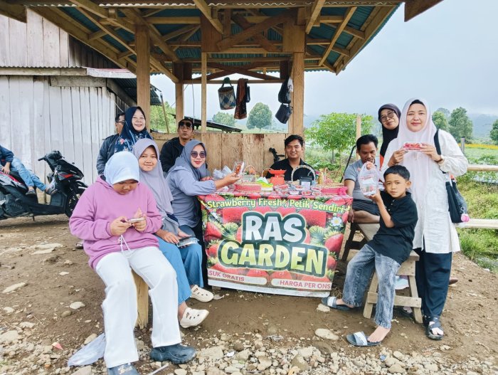 Refreshing Bersama Keluarga, MTsN 4 Batang Hari Kunjungi Kebun Stroberi RAS Garden Pauh Merangin Refreshing Bersama Keluarga, MTsN 4 Batang Hari Kunjungi Kebun Stroberi RAS Garden Pauh Merangin