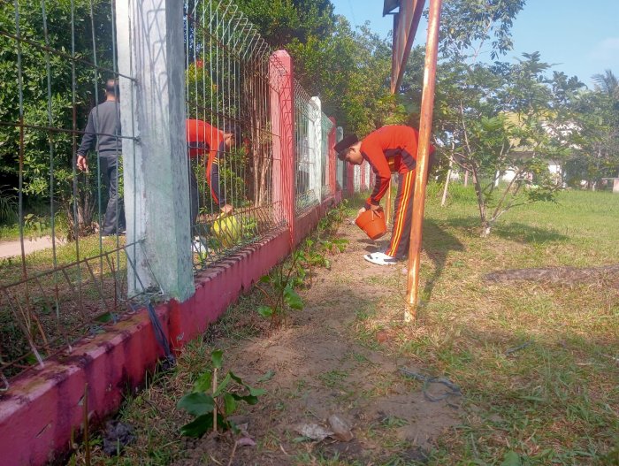 Mempercantik Pagar Madrasah dengan Menanam Bunga Melati Arab Mempercantik Pagar Madrasah dengan Menanam Bunga Melati Arab