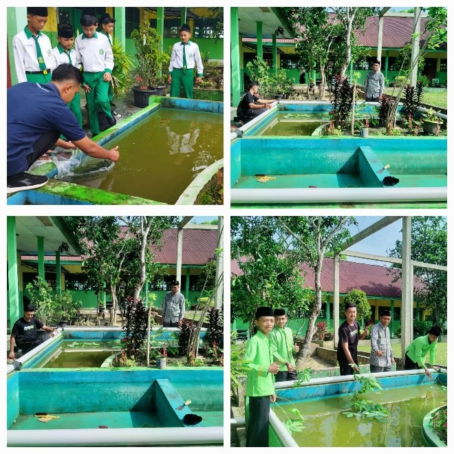 Optimalisasi Program (MALAM) 