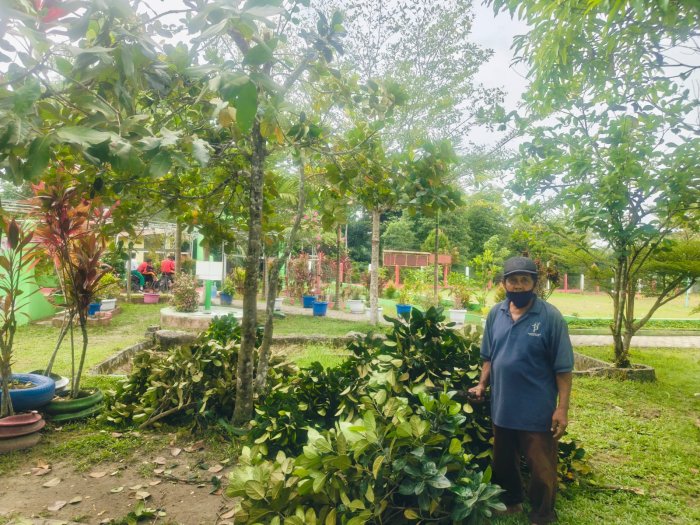 Wujudkan Taman yang Rapi, pangkas tanaman