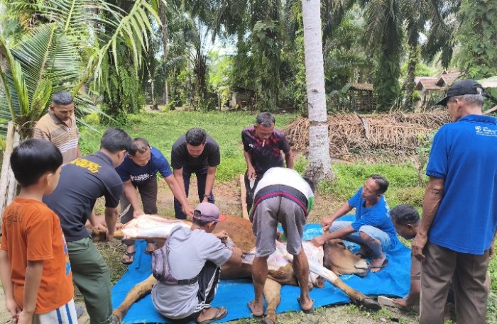 Agung Pegawai MTsN 4 Batang Hari Turut Andil dalam Kepanitiaan Penyembelihan Hewan Kurban di Lingkungan Musalla