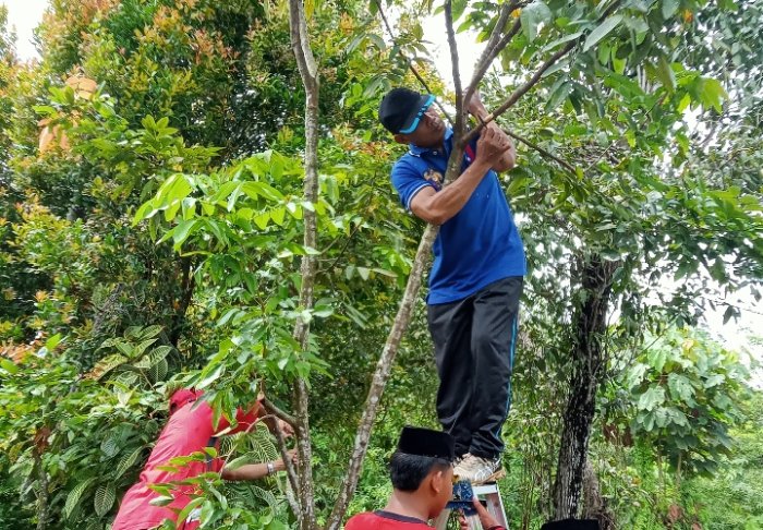 MTsN 4 Batanghari Gencarkan Literasi Ekologi untuk Tumbuhkan Kepedulian Lingkungan