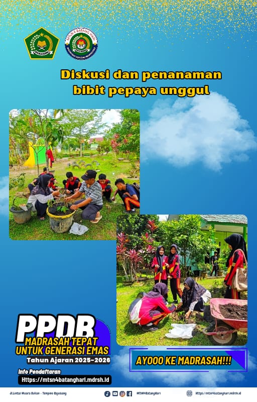 Tanam Bibit Pepaya Unggul Bersama Siswa di Halaman Madrasah