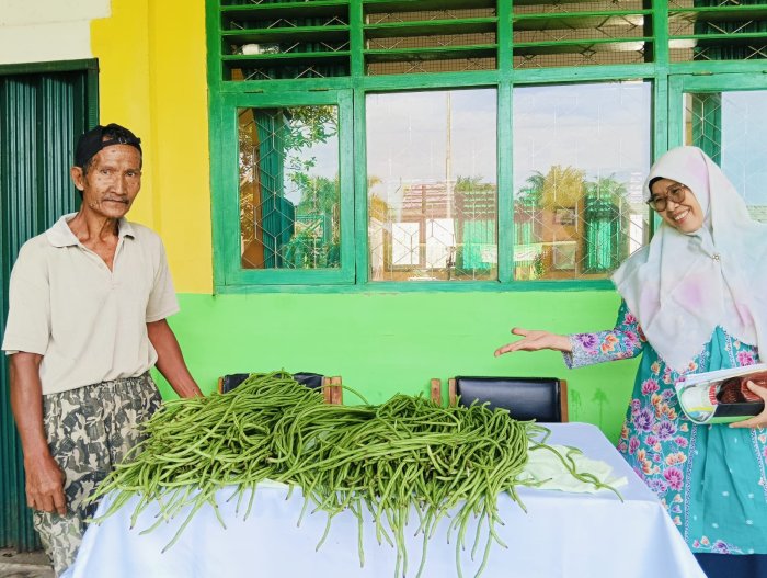Panen Kedua, Kacang Panjang MTsN 4 Batang Hari Laris manis di Pasar Sayur
