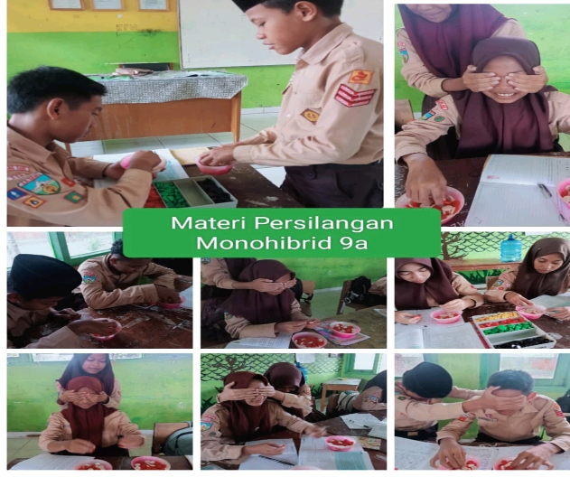 ASIK BELAJAR DENGAN KANCING GENETIKA DI KELAS 9A 