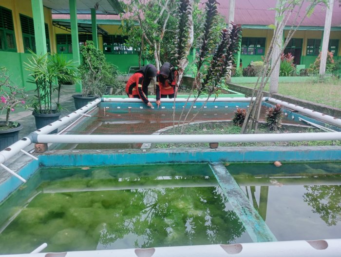 Kolam Madrasah sebagai Inovasi Edukatif dan Ekonomis