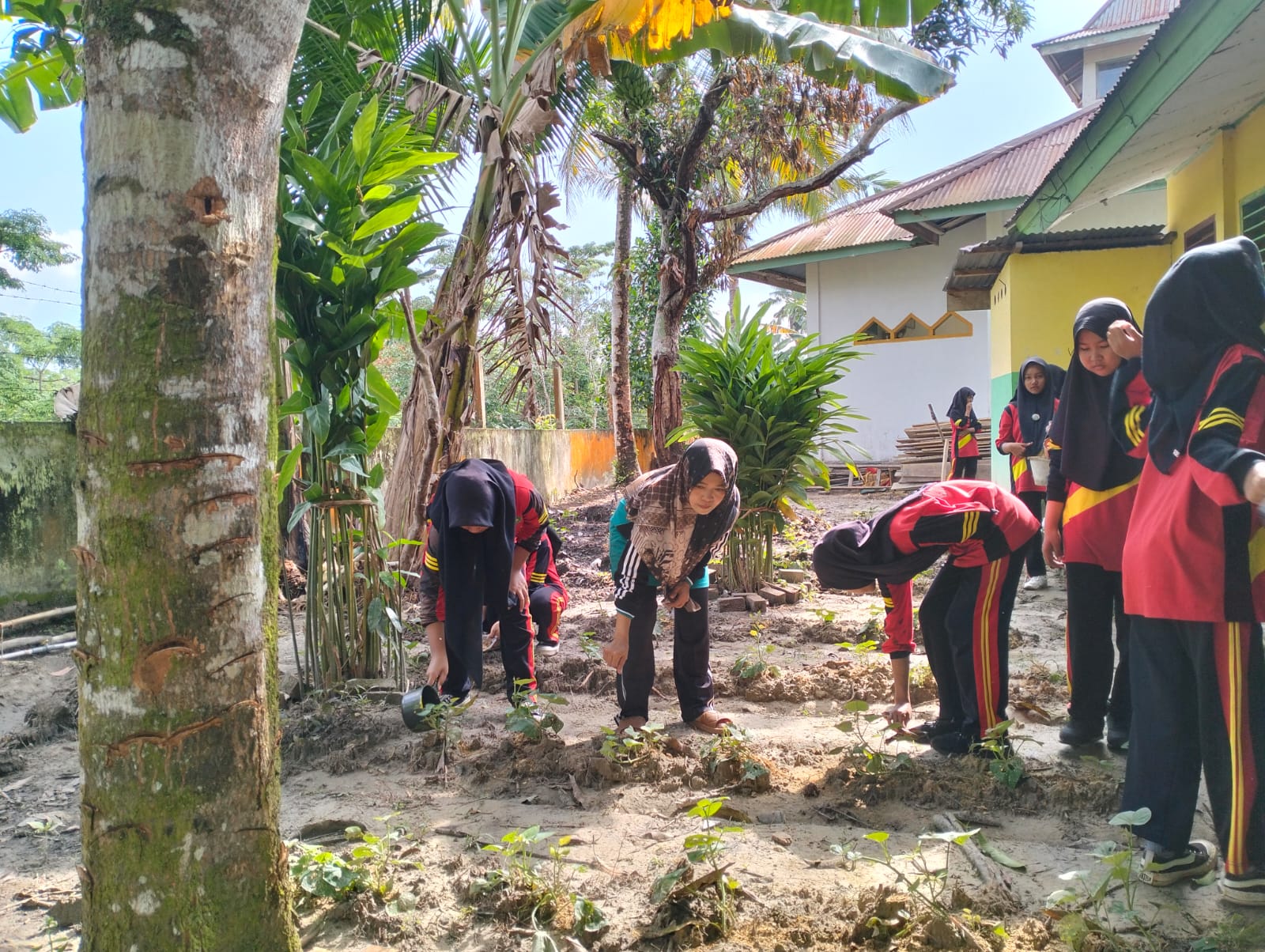 Bersih bersih lingkungan Madrasah Bersih bersih lingkungan Madrasah