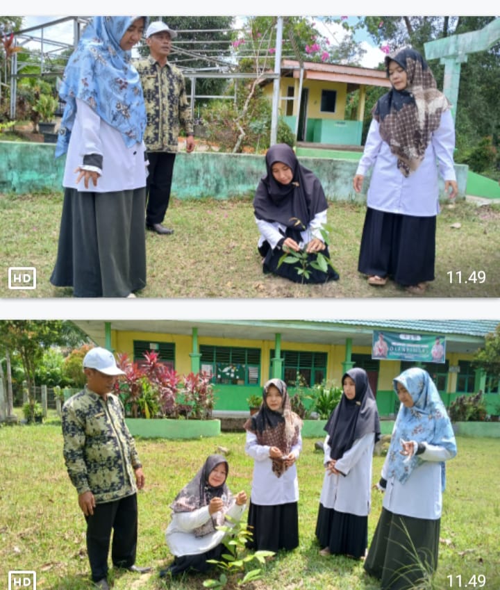 Hari Bumi Sedunia, MTsN 4 Batanghari Beraksi Dengan Pelabelan Pohon Matoa. Hari Bumi Sedunia, MTsN 4 Batanghari Beraksi Dengan Pelabelan Pohon Matoa.