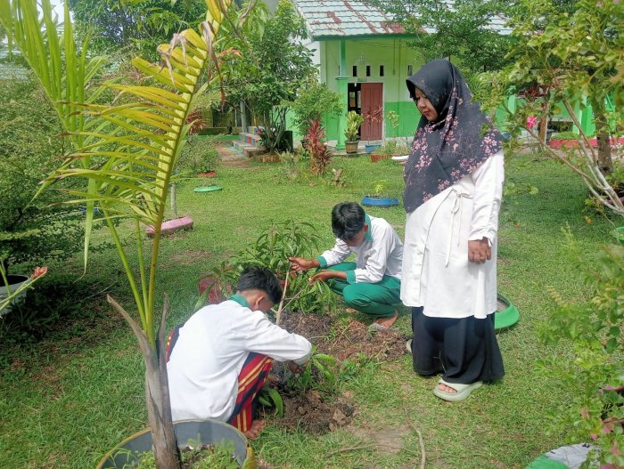 Semangat Ekologi Berkobar, MTsN 4 Batang Hari Wujudkan Madrasah Asri dengan Penanaman Mangga Semangat Ekologi Berkobar, MTsN 4 Batang Hari Wujudkan Madrasah Asri dengan Penanaman Mangga