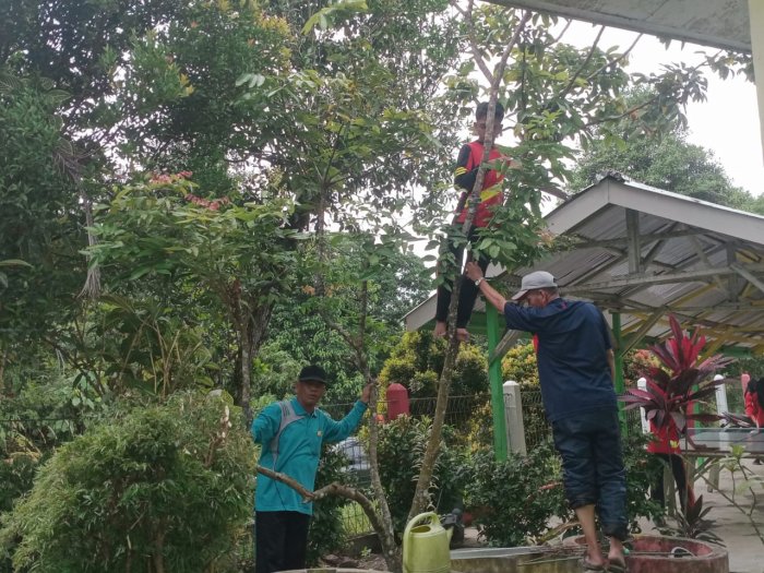 Laksanakan Aksi Madrasah Asri Penanaman Pohon Bersama Kepala Madrasah