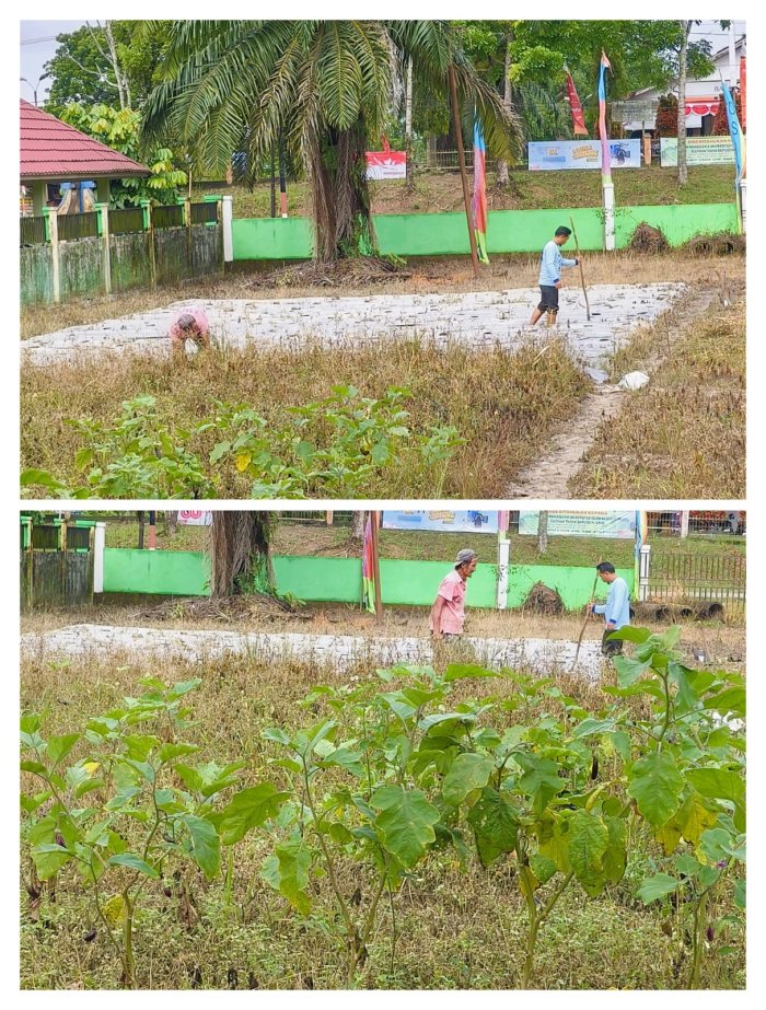 Agen Perubahan KITELA, Tanam Kacang Panjang