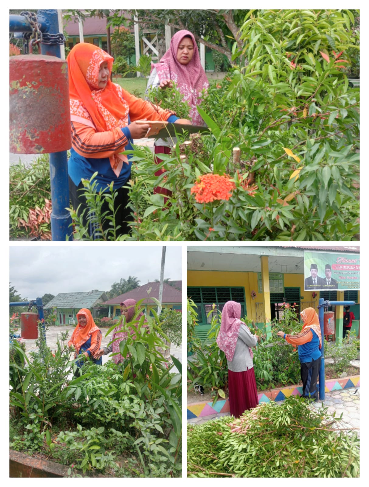 GTK MTsN 4 Batanghari Lakukan Peremajaan Taman untuk Ciptakan Lingkungan yang Asri dan Nyaman