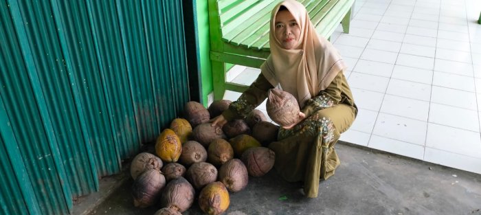 MTsN 4 Batang Hari Wujudkan Madrasah Asri Lewat Program Wirausaha tanaman Pohon Kelapa