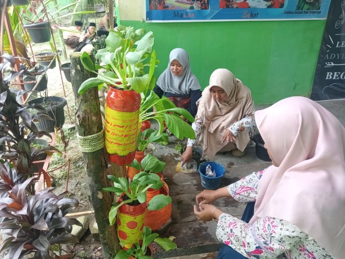 Vertical garden MTsN 4 Batanghari Kian Subur di Bawah Perawatan Guru Junior