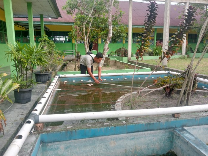 Kolam Ikan Nila MTsN 4 Batanghari Terus Dijaga Kebersihannya