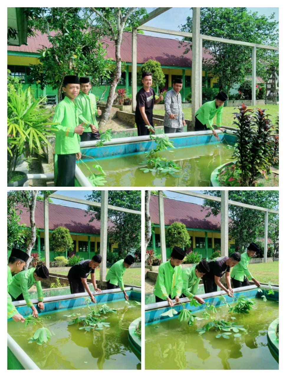 PEMBERIAN MAKAN IKAN GURAME SEBAGAI TINDAK LANJUT PROGRAM MALAM PEMANFAATAN LAHAN KOLAM PEMBERIAN MAKAN IKAN GURAME SEBAGAI TINDAK LANJUT PROGRAM MALAM PEMANFAATAN LAHAN KOLAM
