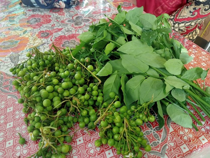 Hasil Kebun MTSN 4 Batanghari di Belakang Ruang Guru