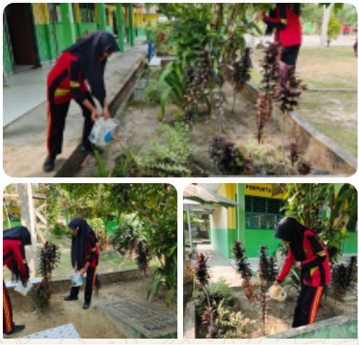 Siswa MTSN 4 Batanghari Peduli Lingkungan dengan Menyiram Tanaman