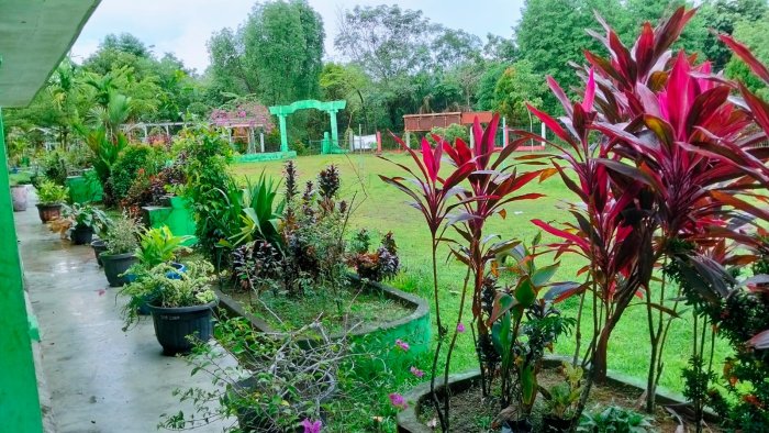 Asri dan Menyejukkan, Taman Depan Kelas MTsN 4 Batang Hari Perindah Lingkungan Madrasah