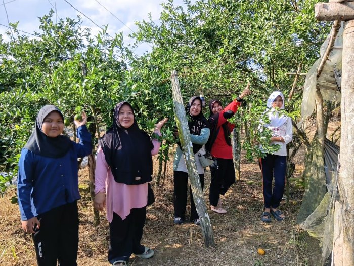 Ngebolang Sore di Kebun Jeruk, Manisnya Bikin Hati Ikut Full Senyum
