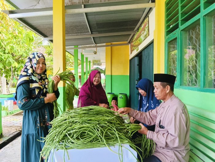 AP KITELA Panen Kacang Panjang 66 Kg Terjual Habis di Jumat Berkah
