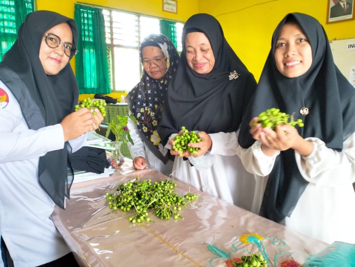 Keceriaan Guru MTsN 4 Batang Hari Berbagi Hasil Panen Terung Pipit dari Kebun KITELA Madrasah