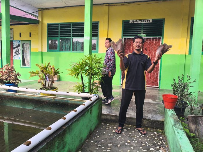 Manfaatkan Kolam, Petik Kebersamaan: AP MALAM MTsN 4 Batang Hari Panen Gurame Manfaatkan Kolam, Petik Kebersamaan: AP MALAM MTsN 4 Batang Hari Panen Gurame