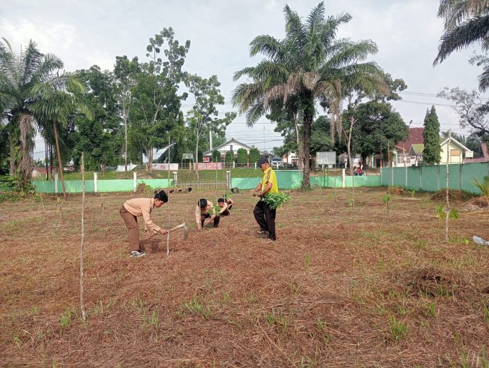 Reboisasi Buah Pepaya di Lingkungan Madrasah